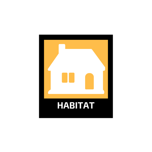 Habitat - Finances - Décoration et Immobilier
